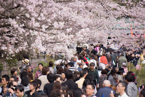 20120421_04.jpg