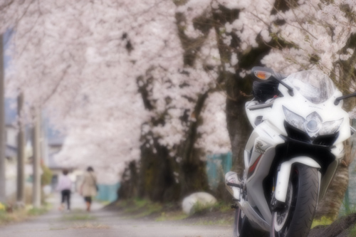 20120421_07.jpg