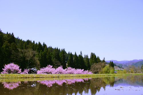 20120428_07.jpg
