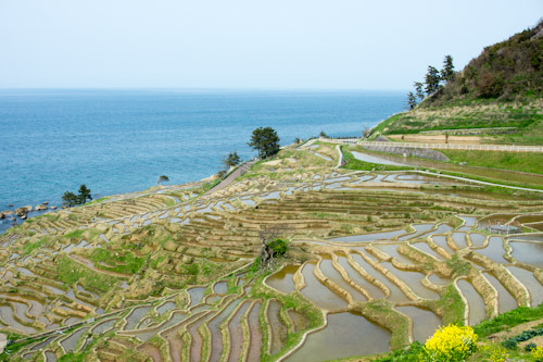 20120429_12.jpg
