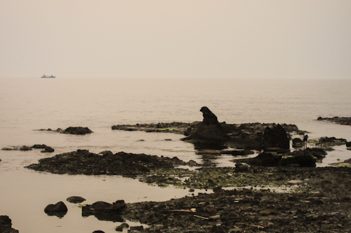 20120429_18.jpg