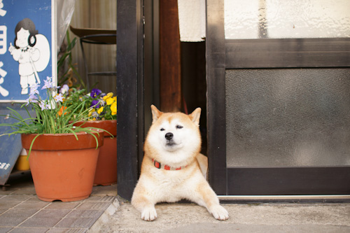 20120430_22.jpg
