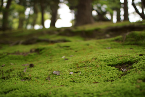 20120501_04.jpg
