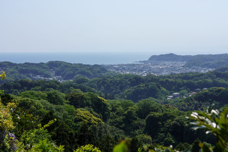 20130429_05.jpg