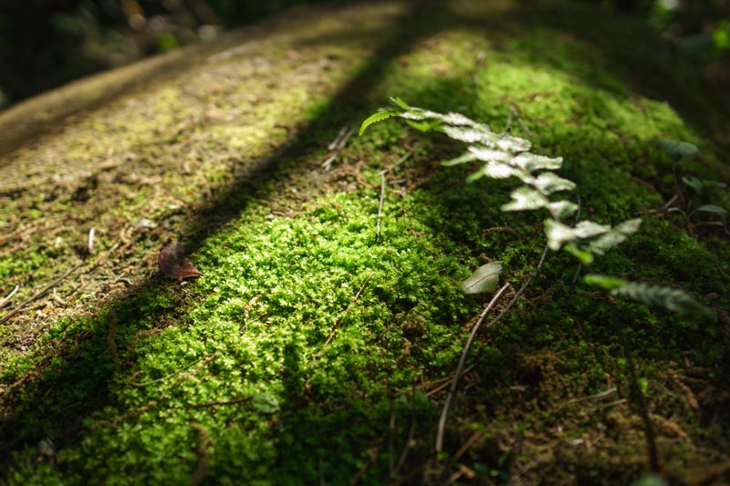 20130429_08.jpg