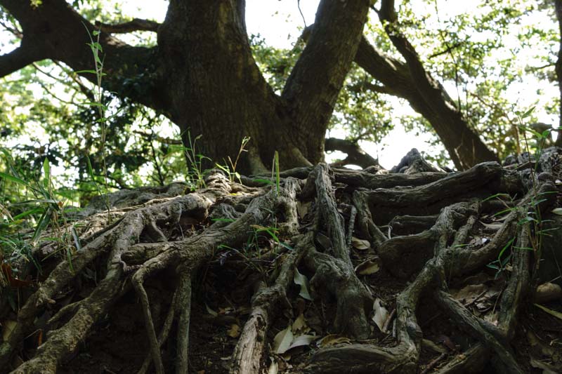 20130429_09.jpg