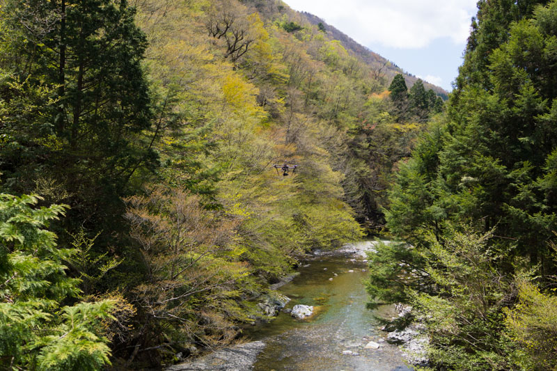 かずら橋