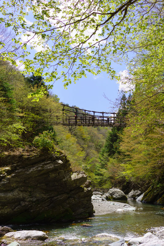 二重かずら橋