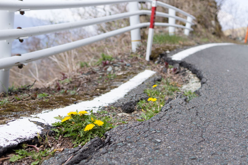 UFOライン 瓶が森林道
