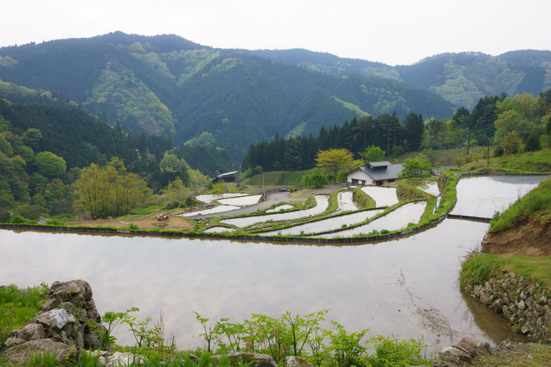 20130504_03.jpg