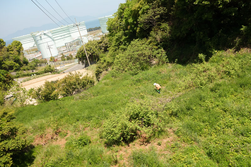 20130505_10.jpg