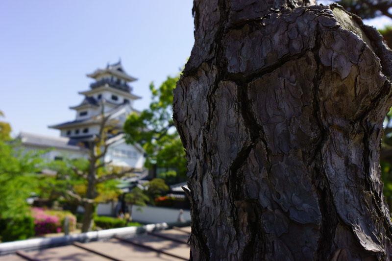 今治城