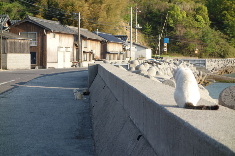 20130505_30.jpg