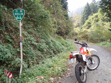 888f43d0.jpg