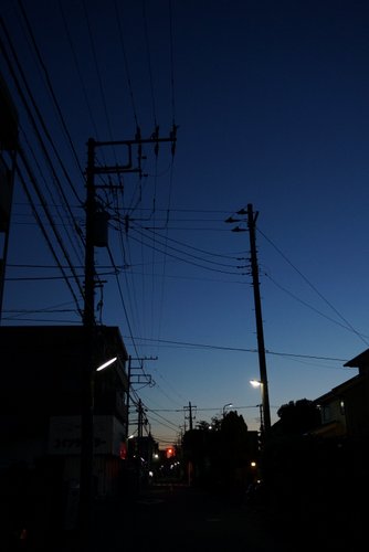 DSC00239.JPG