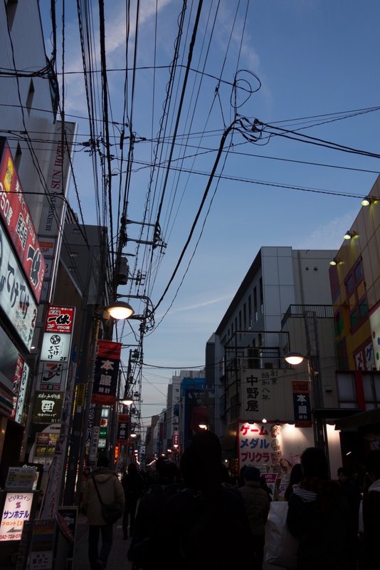 DSC00282.jpg