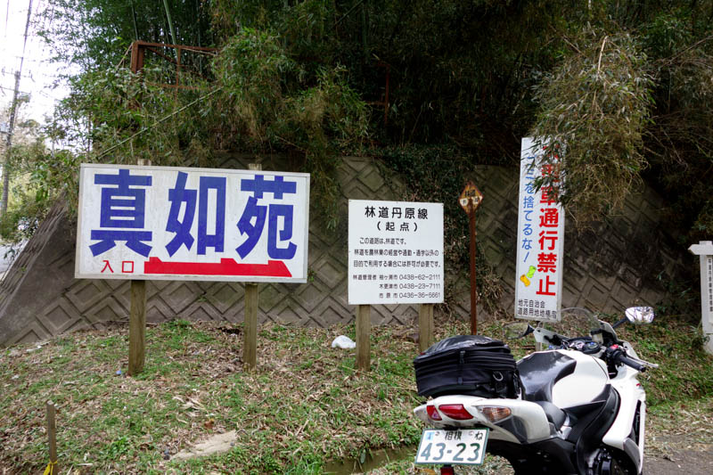 DSC00418.jpg