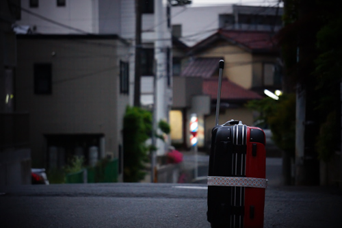 DSC02336-1.jpg