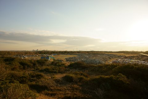 DSC03306.JPG