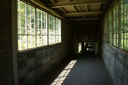 DSC03496.jpg