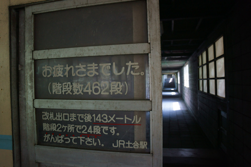 DSC03499.jpg