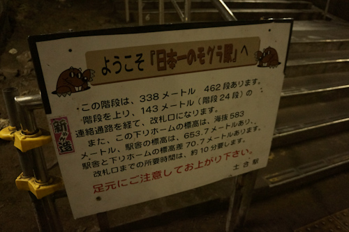 DSC03516.jpg