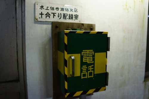 DSC03523.jpg