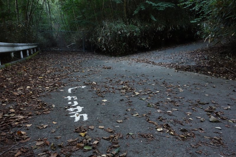 雁坂峠