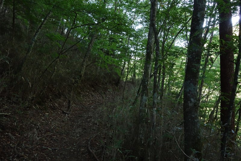 雁坂峠