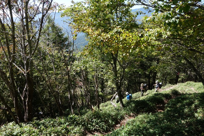雁坂峠