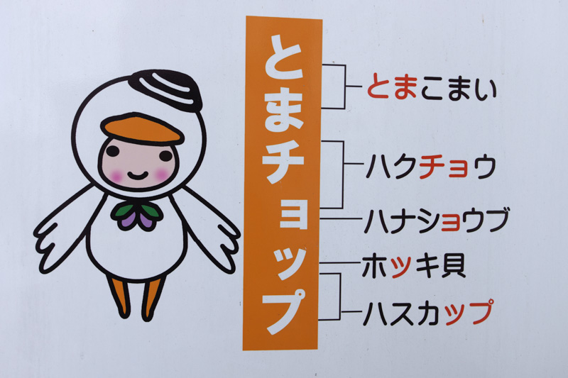 雁坂峠