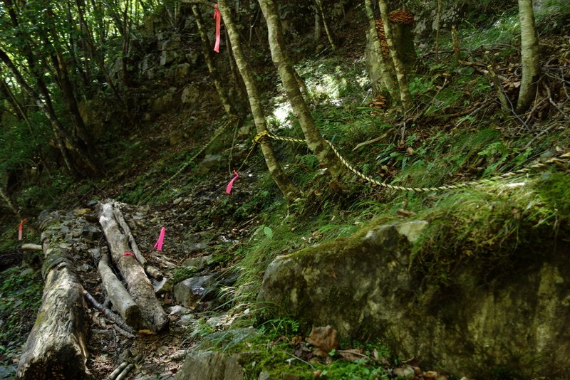 雁坂峠