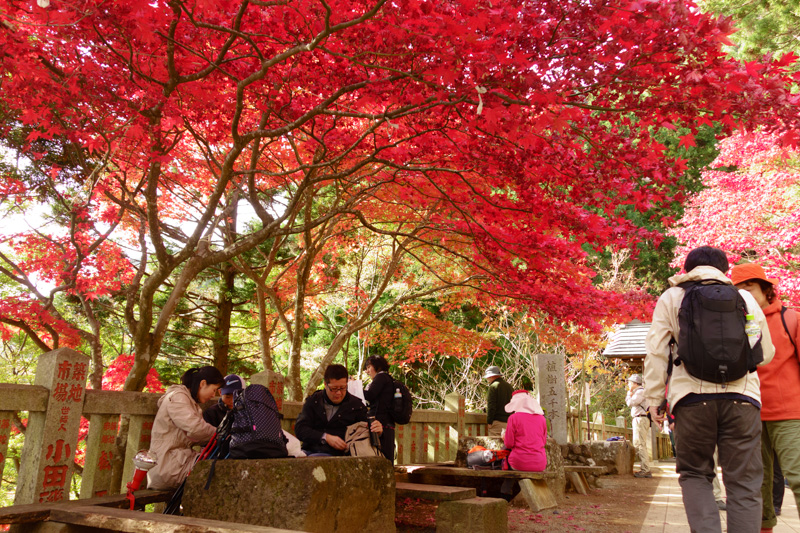 大山登山