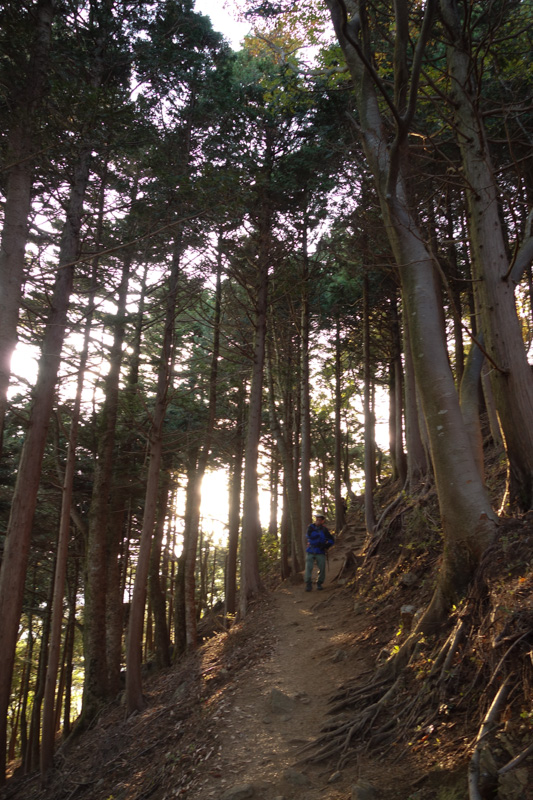 大山登山