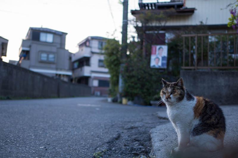 DSC08719.jpg