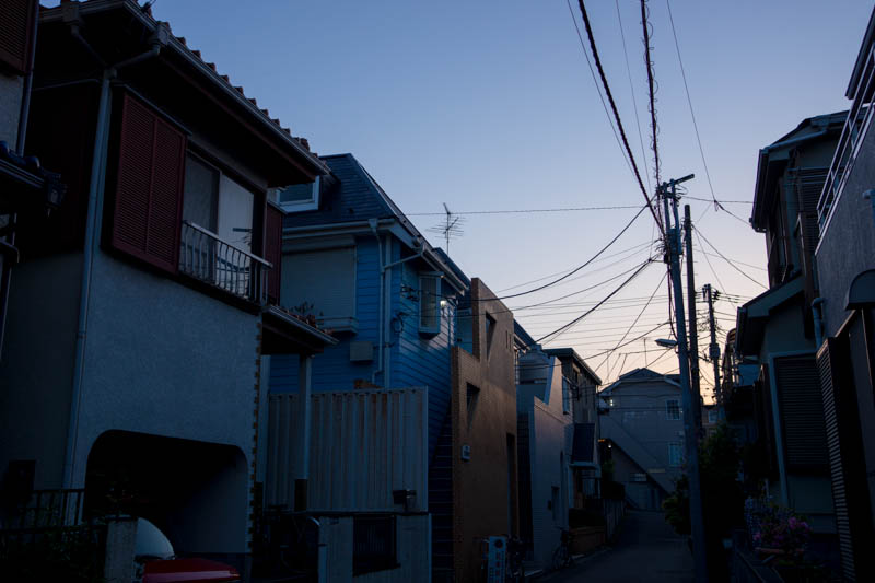 DSC08726.jpg