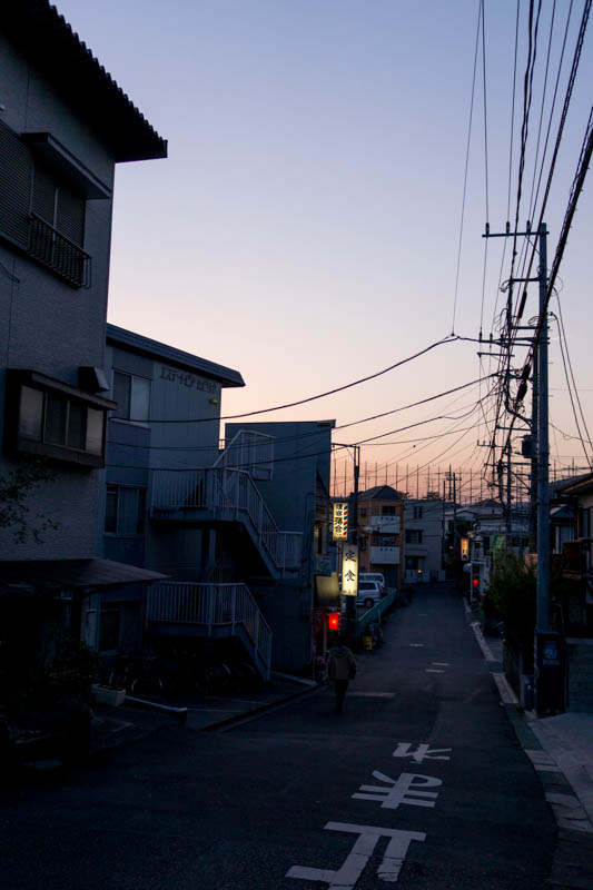 DSC08733.jpg