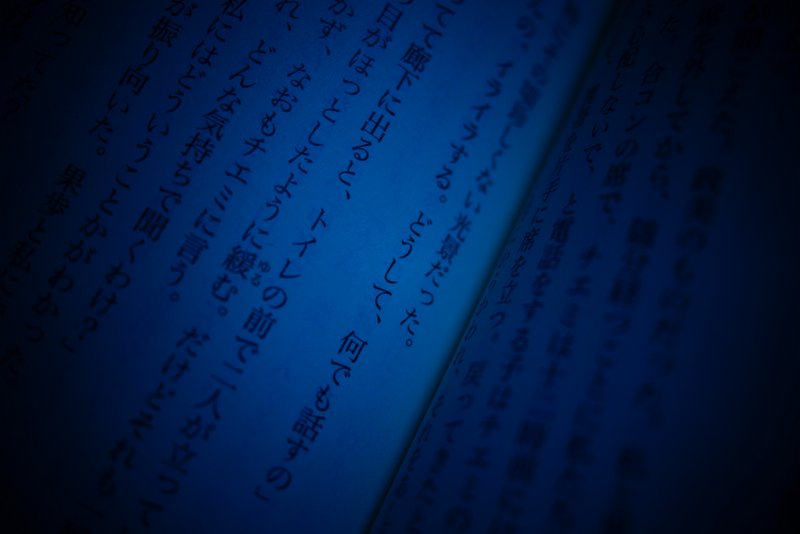 DSC09846.JPG