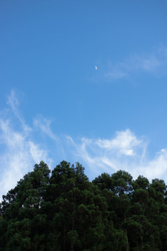 DSC09946.jpg