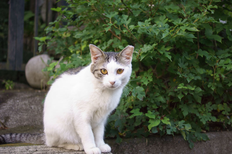 DSC09953.jpg