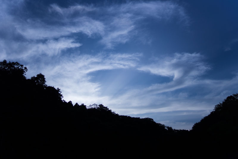 DSC09960.jpg