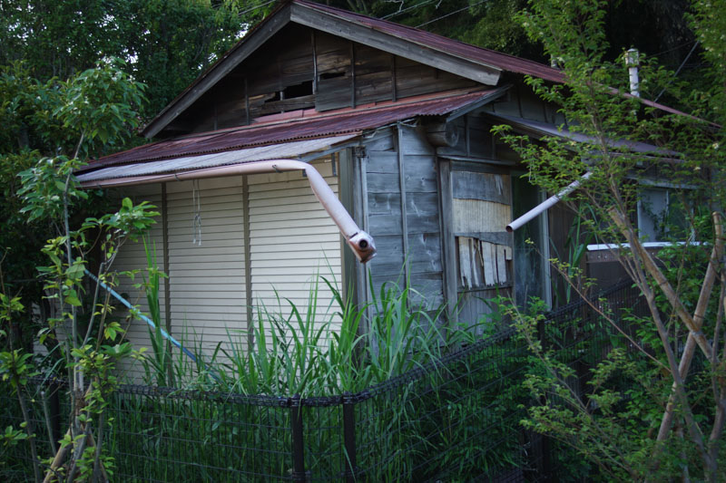 DSC09963.jpg