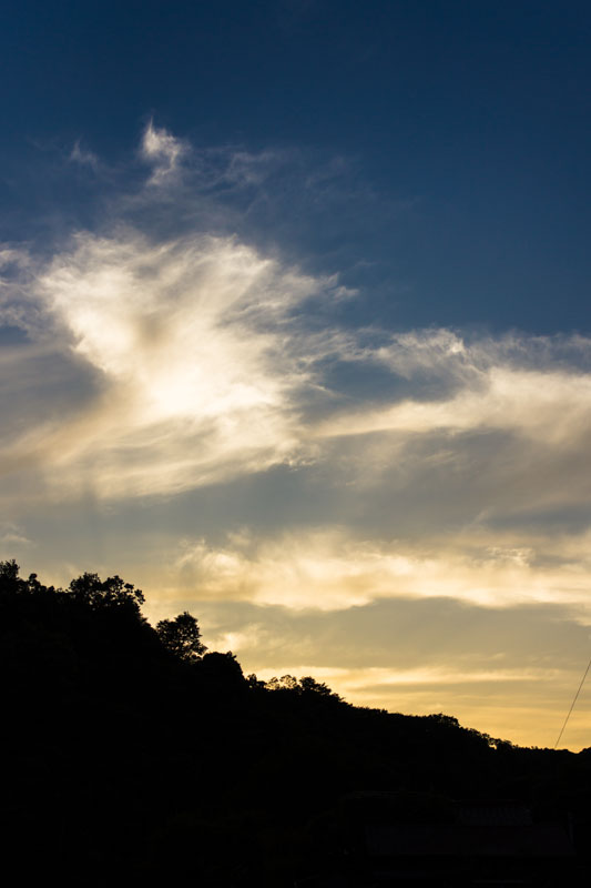 DSC09980.jpg