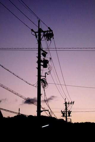 IMG_1464.JPG