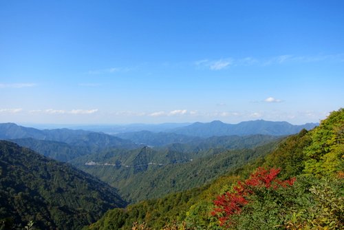 IMG_7219.JPG