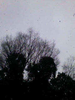 P1000295.JPG