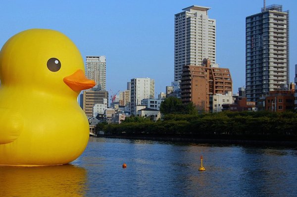 duck-b13.JPG