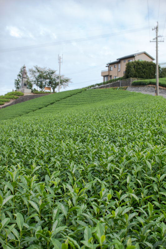 蓬莱橋