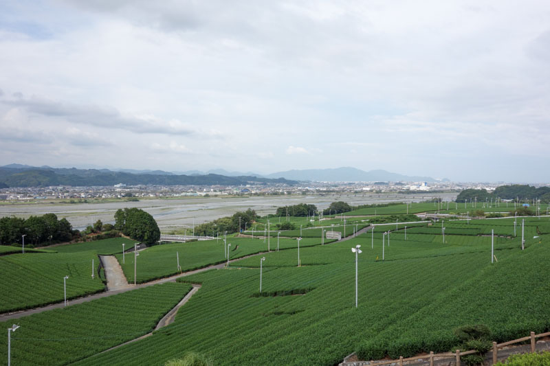 蓬莱橋