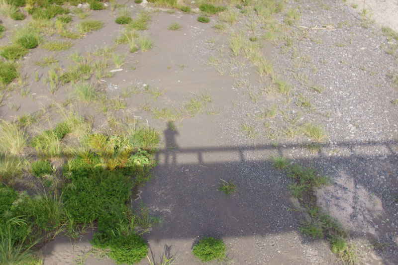 蓬莱橋